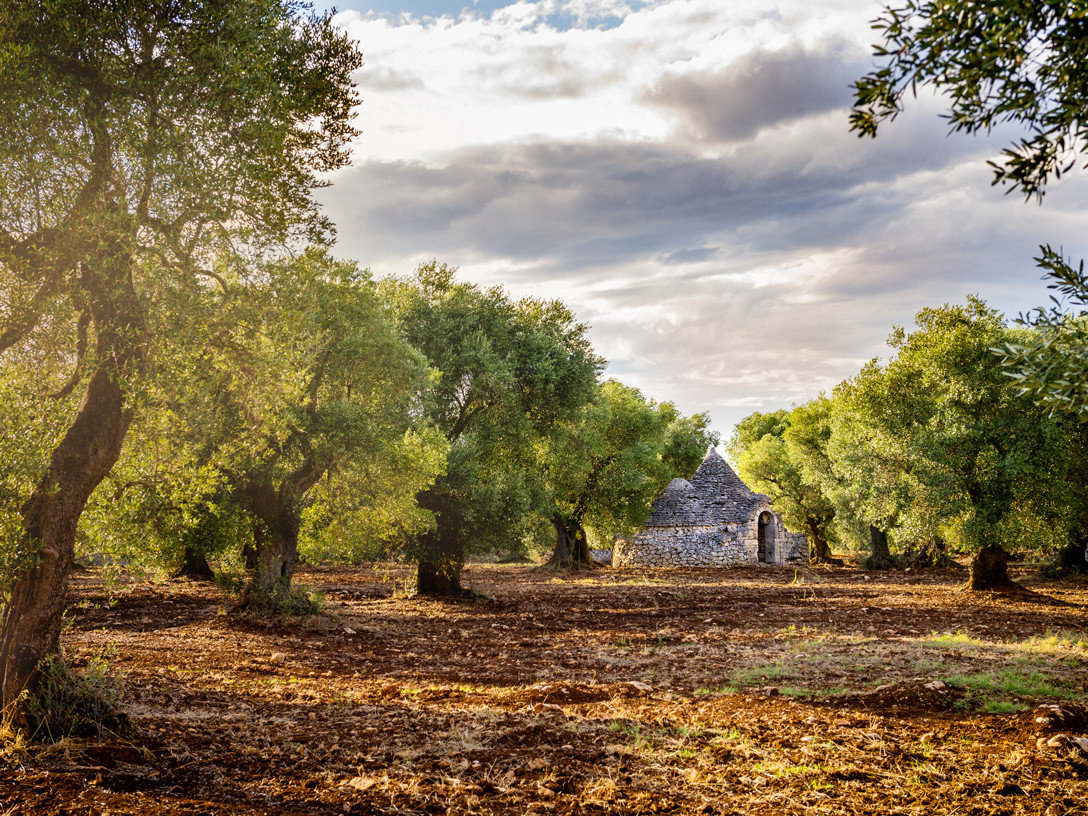 Tesori della Puglia | Viaggia con Expert Travel Team